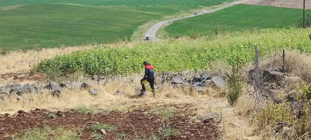 Diyarbakır’da kayıp küçük kız, karış karış aranıyor