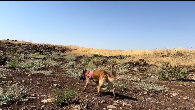 Diyarbakır'da kayıp Narin için jandarma ekipleri seferber oldu