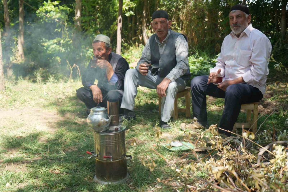 Muşlu çiftçilerin yetiştirdiği bal kabağı şaşırtıyor