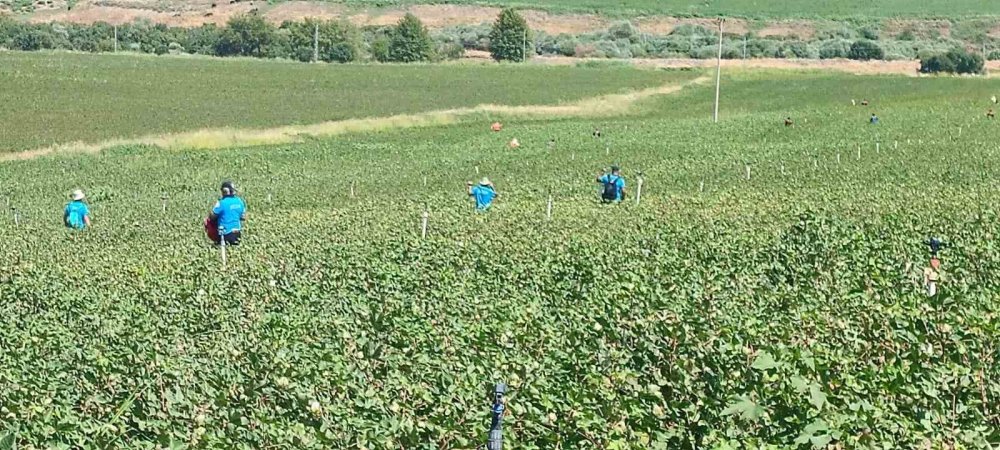 Diyarbakır'da 8 yaşındaki Narin’in arama çalışmaları 6’ncı gününde