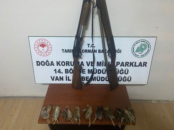 Van’da kaçak Bıldırcın avcılarına ceza yağdı