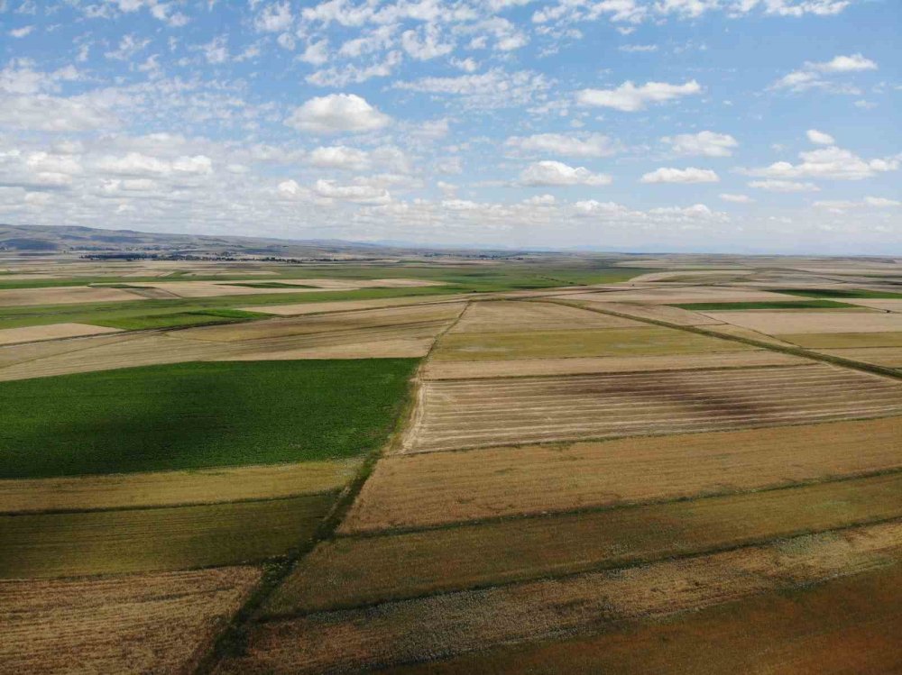 Kars’ta tarım arazilerinin dron görüntüsü hayran bıraktı