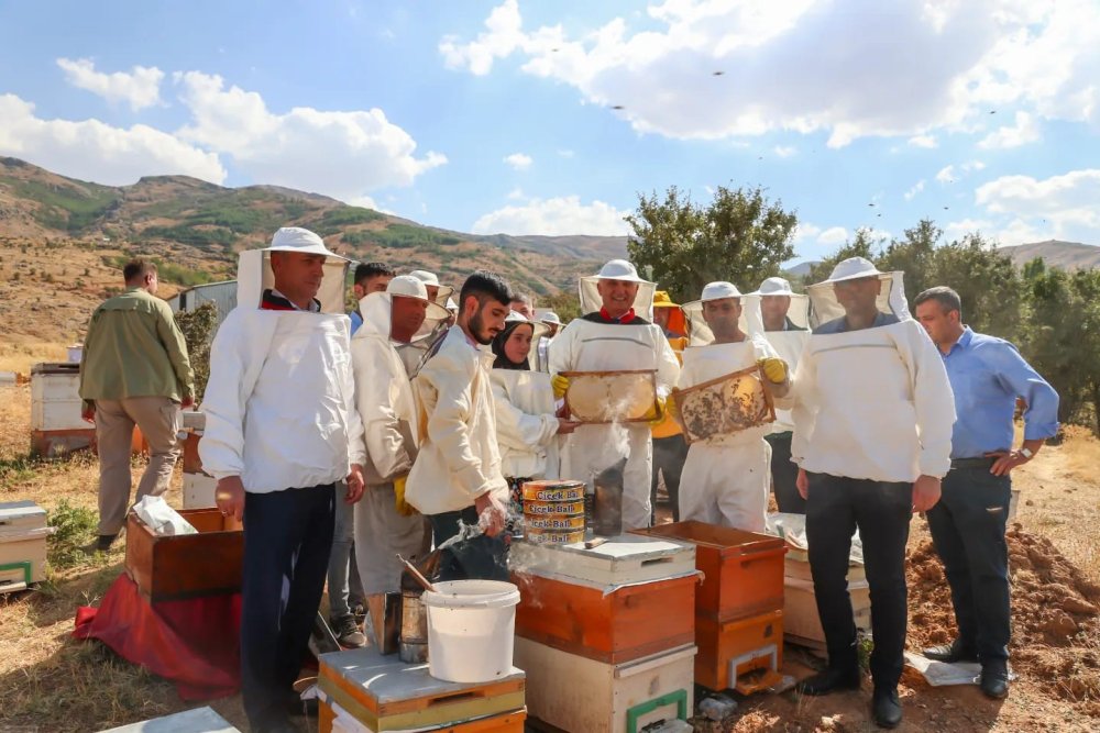 Muş’ta bal hasadı başladı