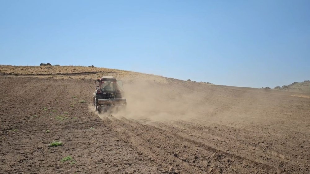 Bitlis'te 2600 rakımda zorlu buğday ekimi