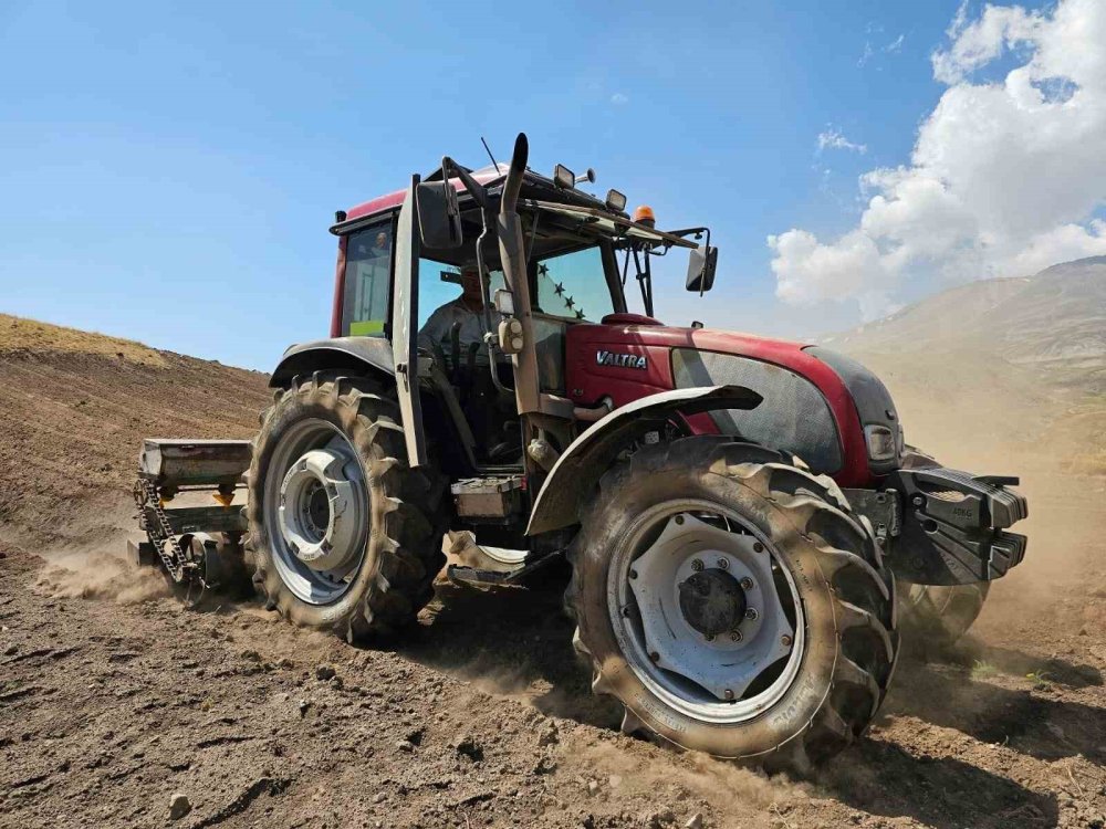 Bitlis'te 2600 rakımda zorlu buğday ekimi