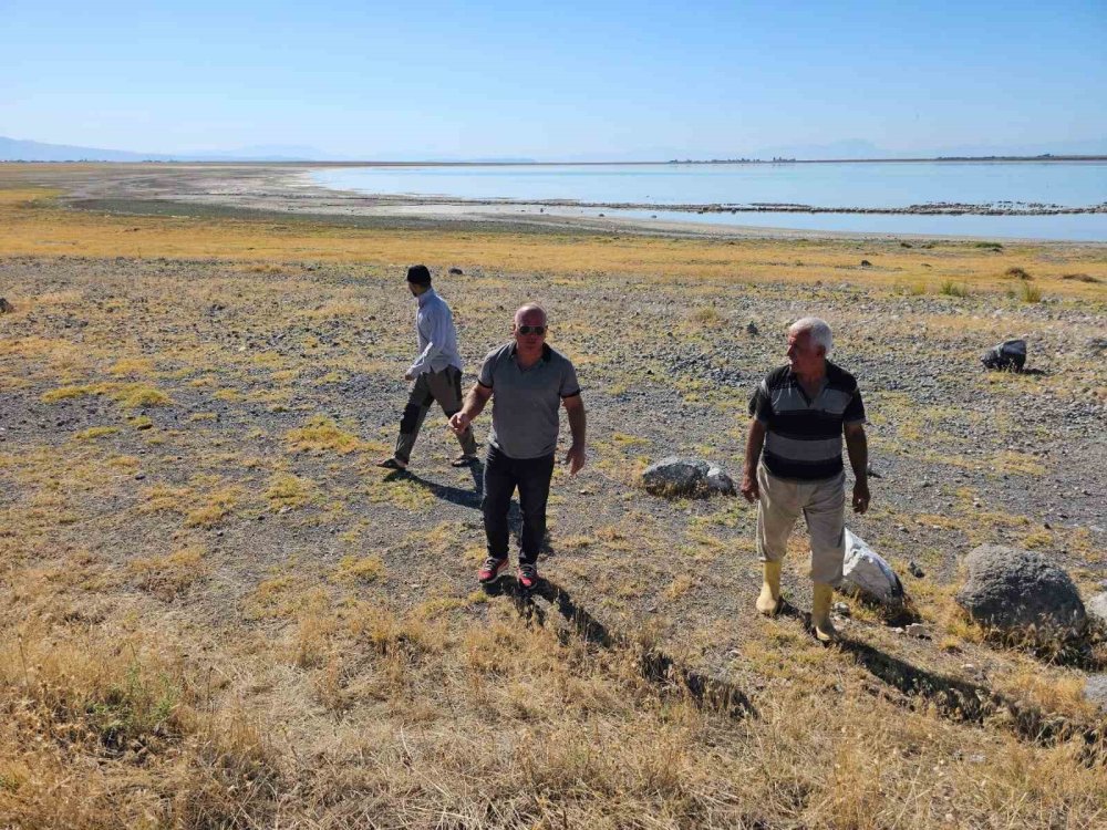 Bitlis'te Arin Gölü’nde konaklayan flamingolara büyük ilgi