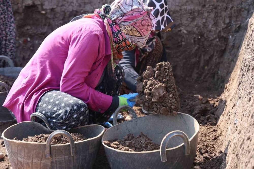 Diyarbakır'da Çayönü Tepesi kazıları 60 yıldır sürüyor