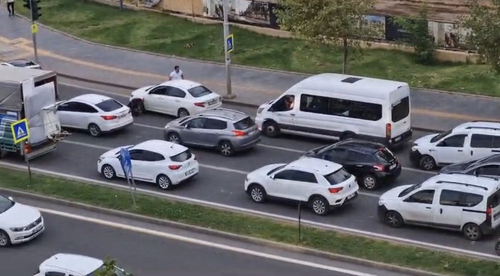 Diyarbakır'da trafiğe yaralı güvercin engeli