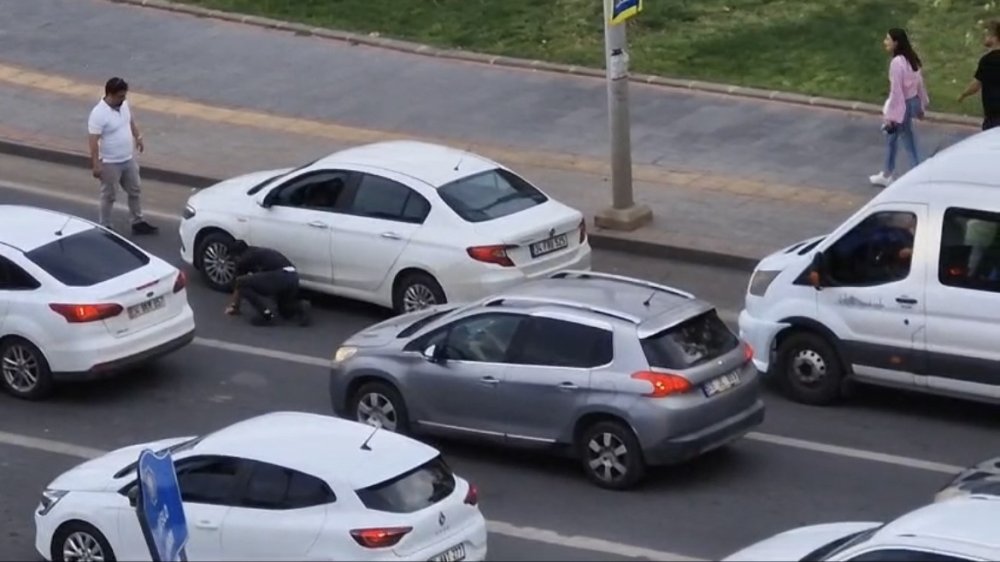 Diyarbakır'da trafiğe yaralı güvercin engeli