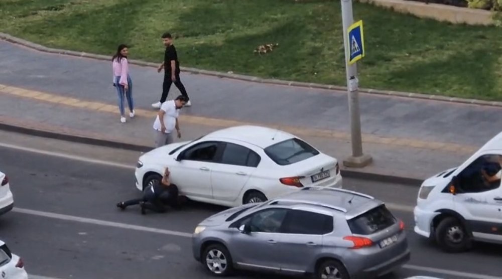 Diyarbakır'da trafiğe yaralı güvercin engeli