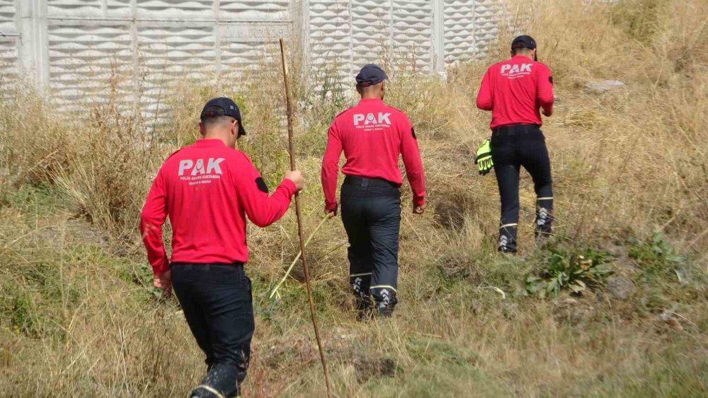 Van’da kayıp genç kız Rojin için geniş kapsamlı arama