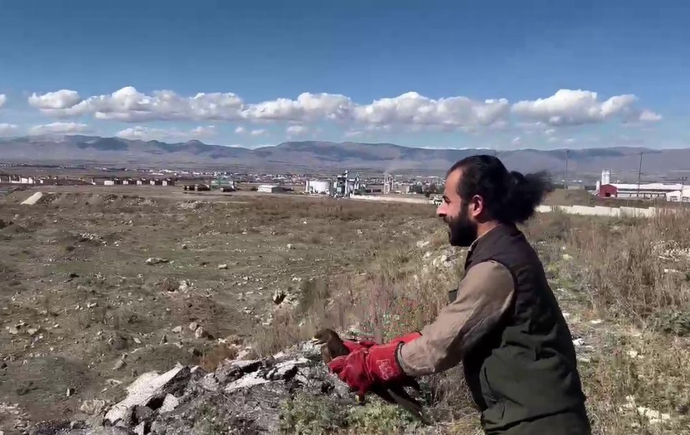 Erzurum'da bitkin düşen arı şahini özgürlüğüne kavuştu