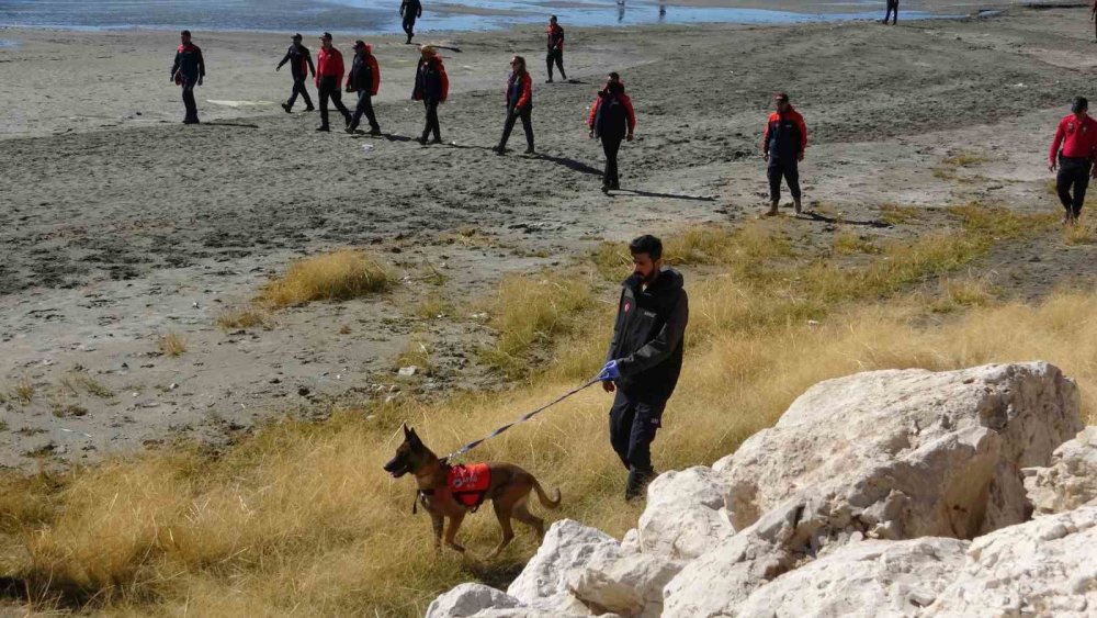 Van’da 100 kişilik özel ekip kayıp Rojin'i arıyor