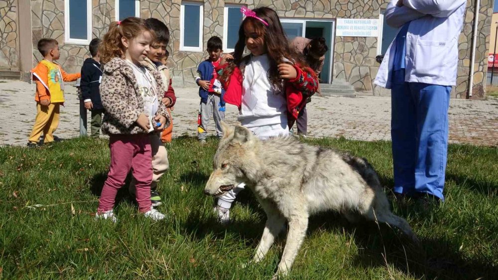 Van’da Dünya Hayvanları Koruma Günü farkındalığı