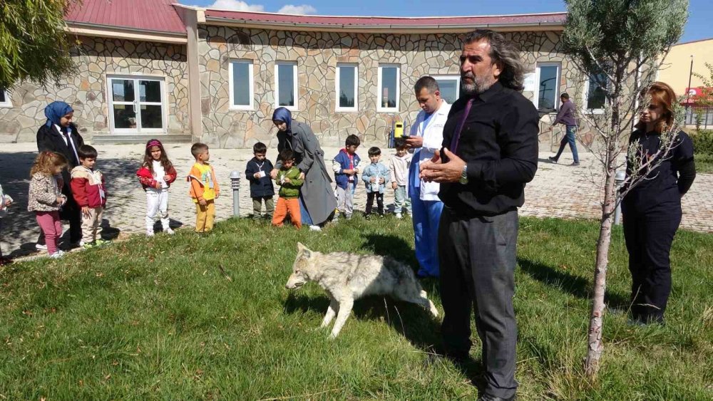 Van’da Dünya Hayvanları Koruma Günü farkındalığı