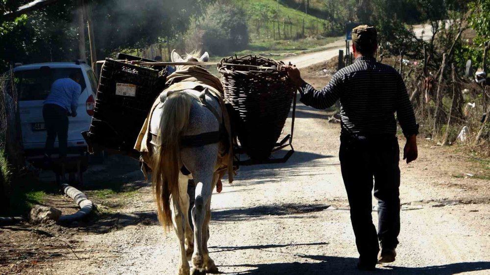 Bitlis'te üzüm pekmezinin zorlu yolculuğu