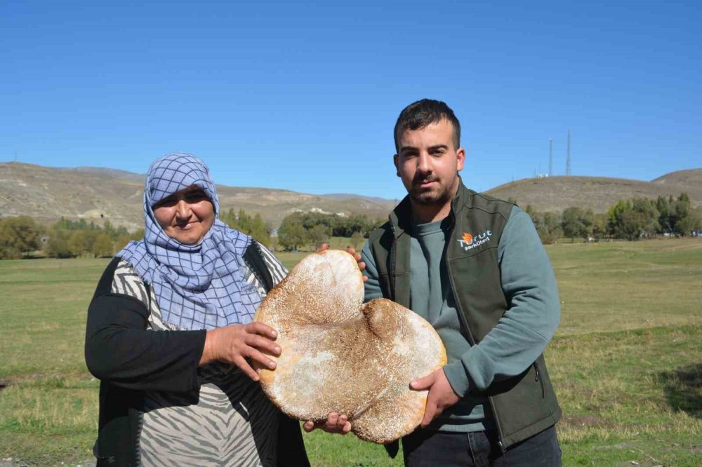 Kars'ta üretilen bu peynir işkembede muhafaza ediliyor