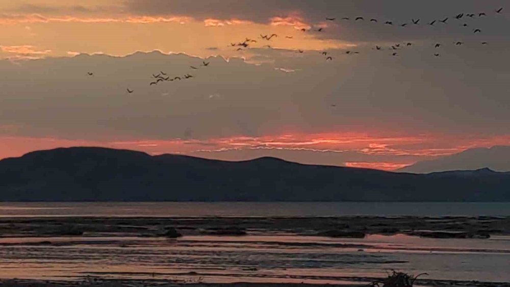 Van’da gün batımı ve flamingoların uyumu göz kamaştırıyor