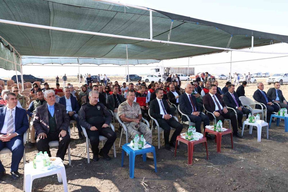 Muş Ovası’ndaki ayçiçeği hasadı törenle başladı