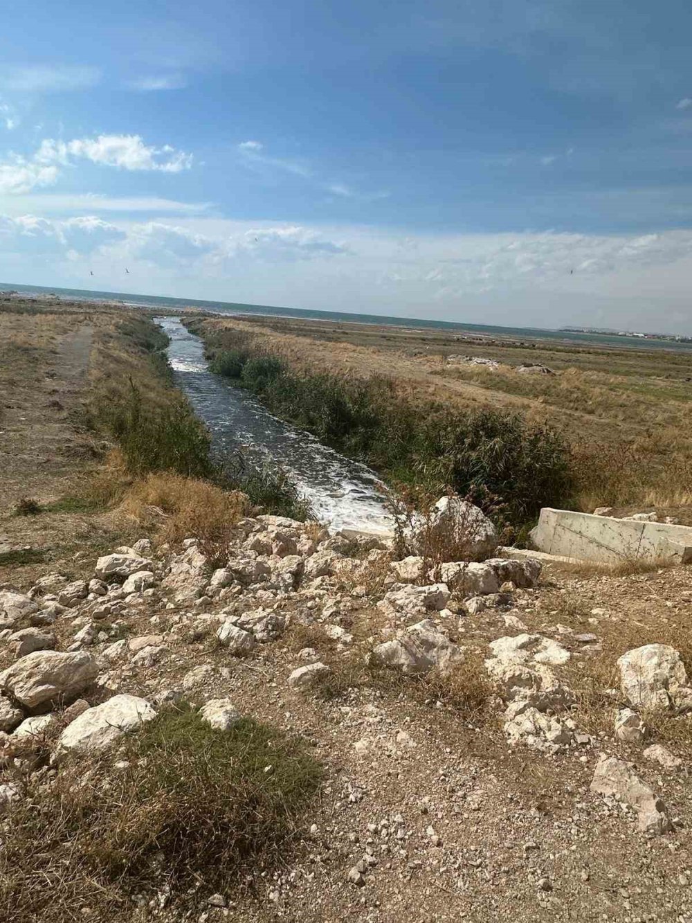 Van Gölü’ne kaçak deşarj yapan Büyükşehir Belediyesi’ne ceza yağdı