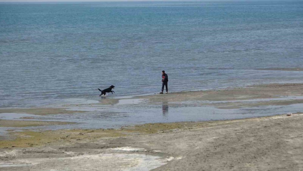 Van'da kayıp Rojin için AFAD’dan köpekli arama