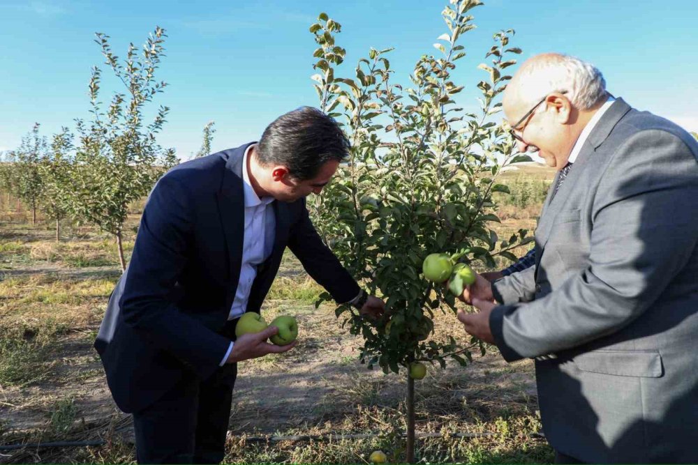 Bitlis Valisi Karakaya, elma bahçesini gezdi