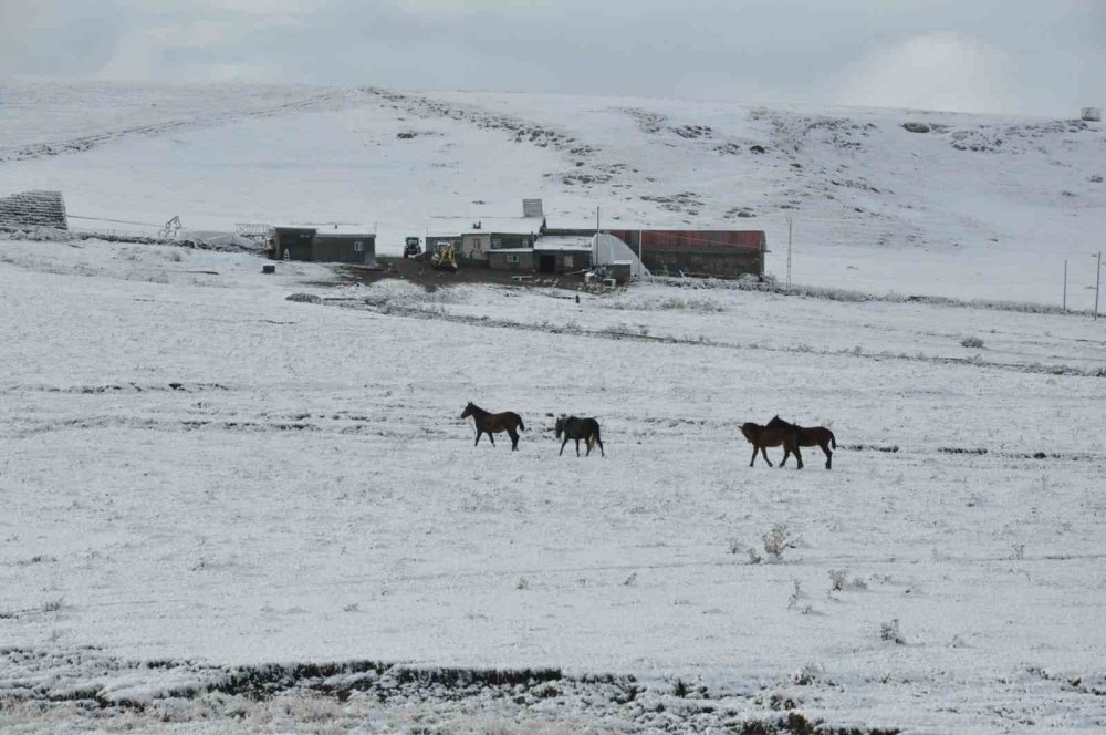 Kars’ta yüksek kesimlerini kar kapladı