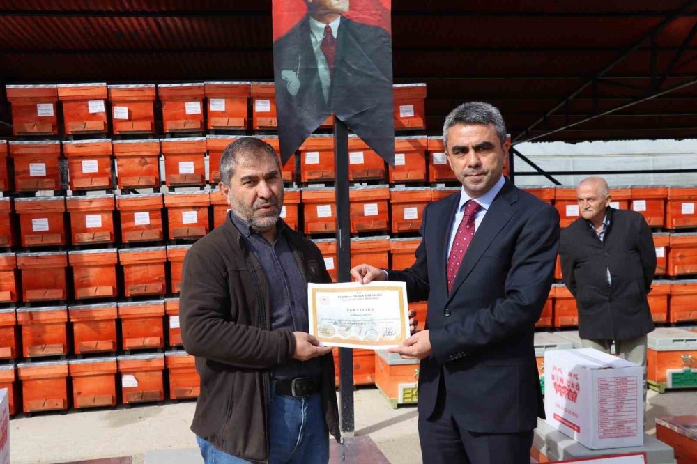 Erzurum'da ana arı yetiştiriciliği projesi başladı