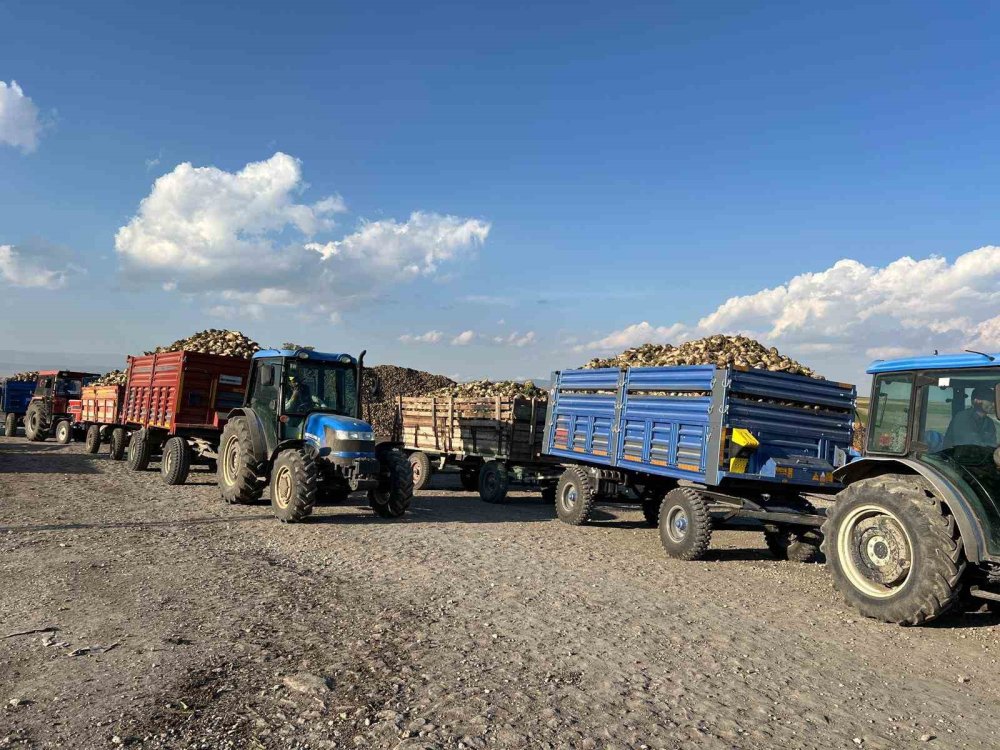 Kars'ın en sıcak ilçesi Akyaka’da pancar hasadı başladı