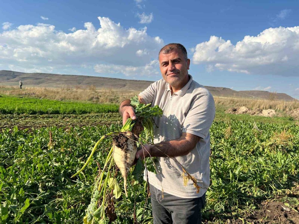 Kars'ın en sıcak ilçesi Akyaka’da pancar hasadı başladı