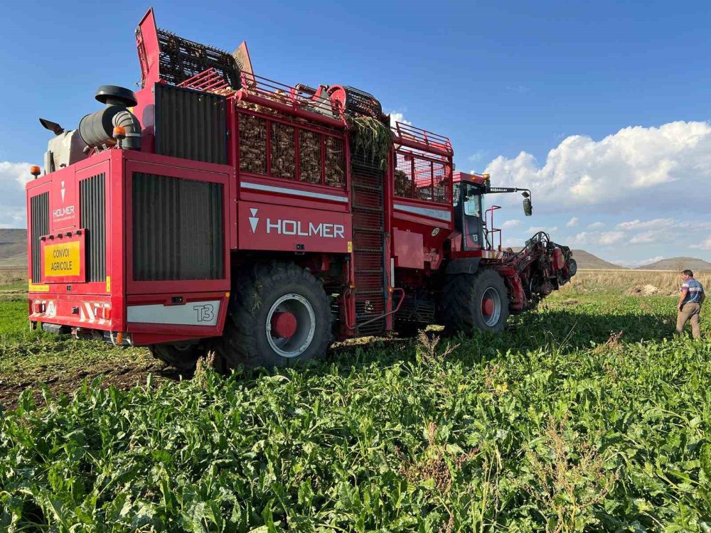 Kars'ın en sıcak ilçesi Akyaka’da pancar hasadı başladı