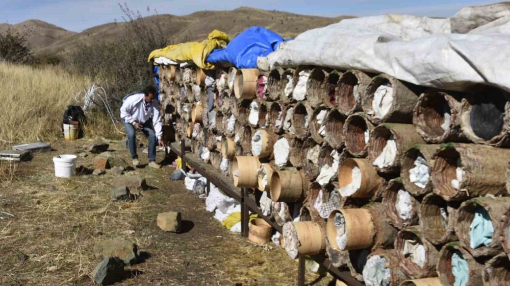 Bitlis’in ödüllü karakovan balının hasadı devam ediyor