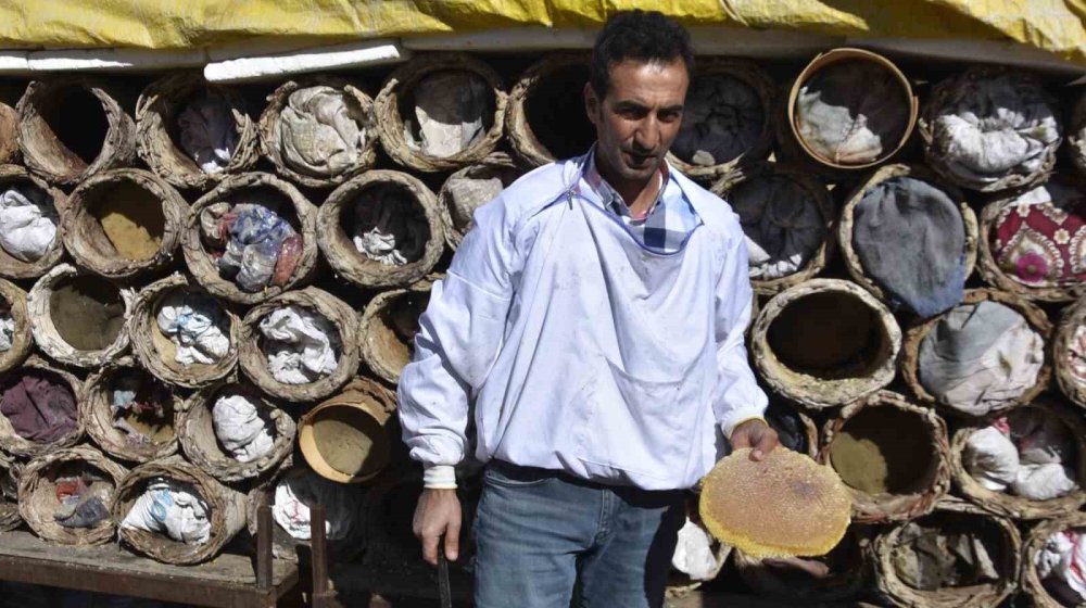 Bitlis’in ödüllü karakovan balının hasadı devam ediyor