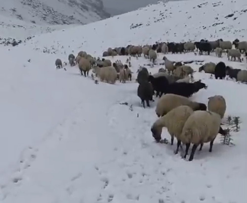 Başkale’de yollar kapandı