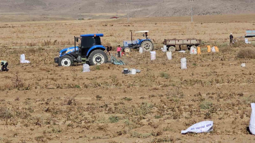 Bitlis'te bir çiftçi patatesleri bedava dağıttı