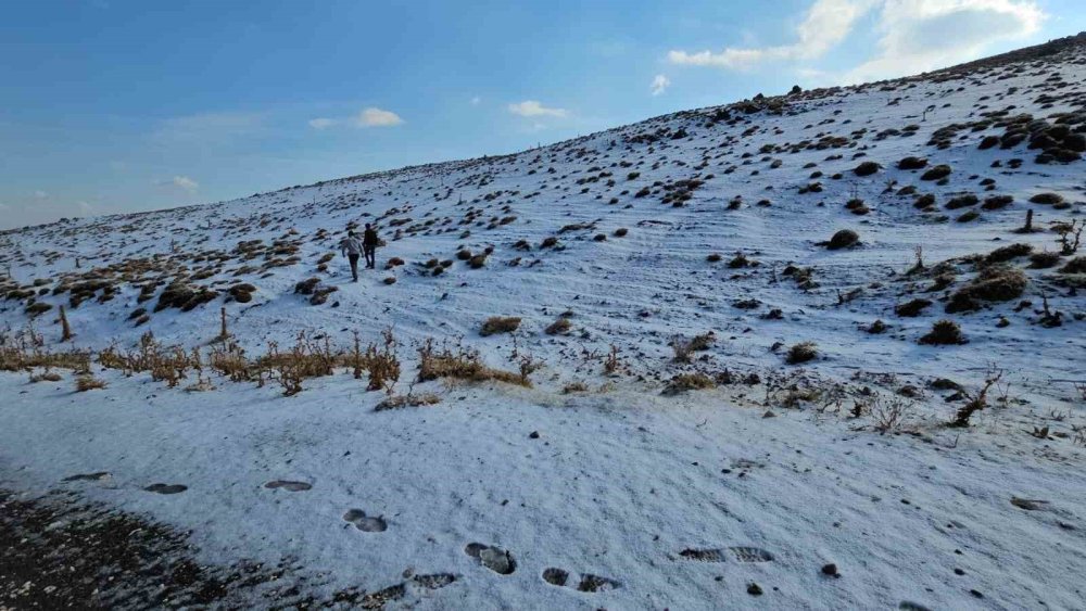 Bitlis'te en yüksek rakımlı köy beyaza büründü