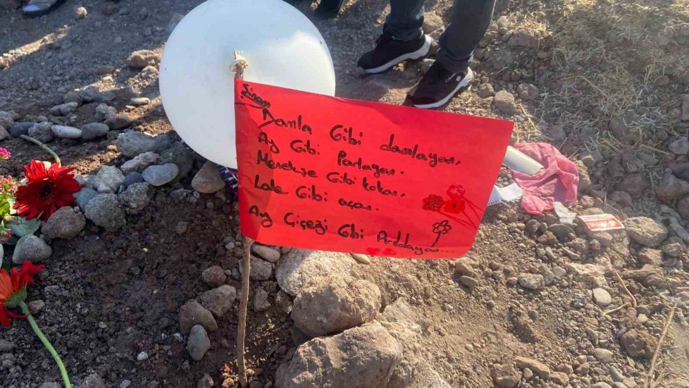 Diyarbakır’da geniz eti ameliyatı için hastaneye giden Damla'nın ölümü ailesini şok etti