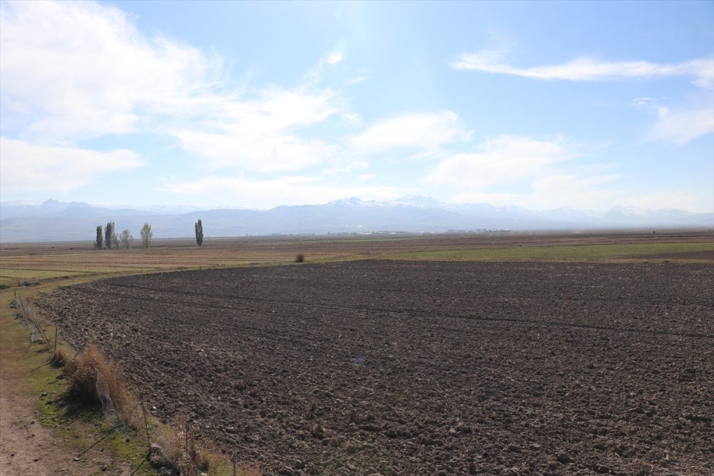 Erzurum'da patates üreticileri, emeklerinin karşılığı için lisanslı depo kurulmasını istiyor