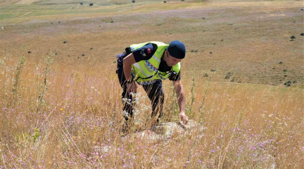 Muş’ta Akkoyunlular dönemine ait mezarlık bulundu