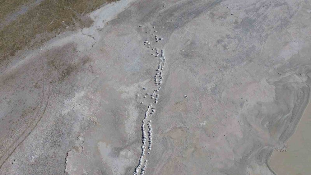 Bitlis'te Arin Gölü’nün çekilmesiyle duvar kalıntıları ortaya çıktı