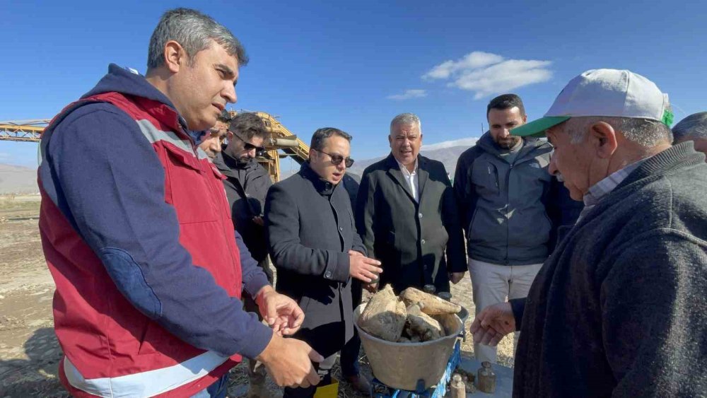 Van’da şeker pancarı hasadı başladı