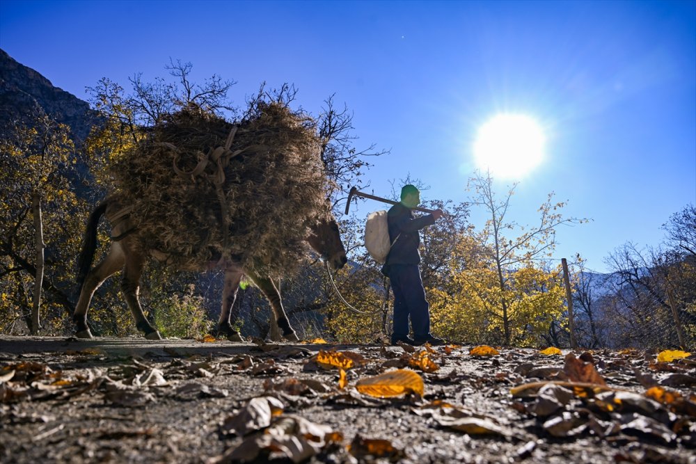 Bahçesaraylıların tek isteği çığ tünelleri