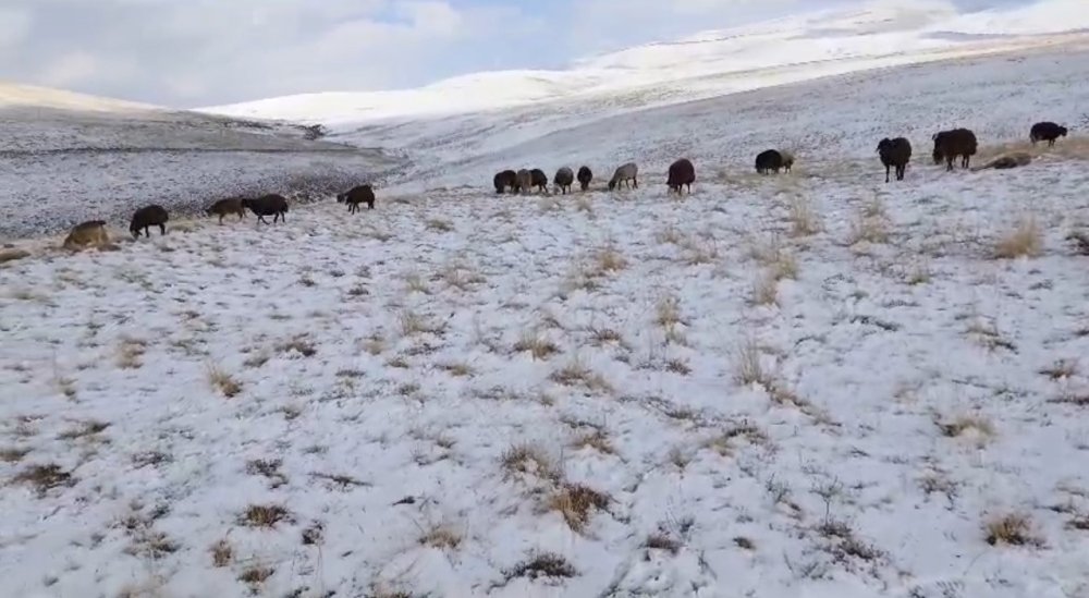 Ağrı’nın köylerine kış geldi