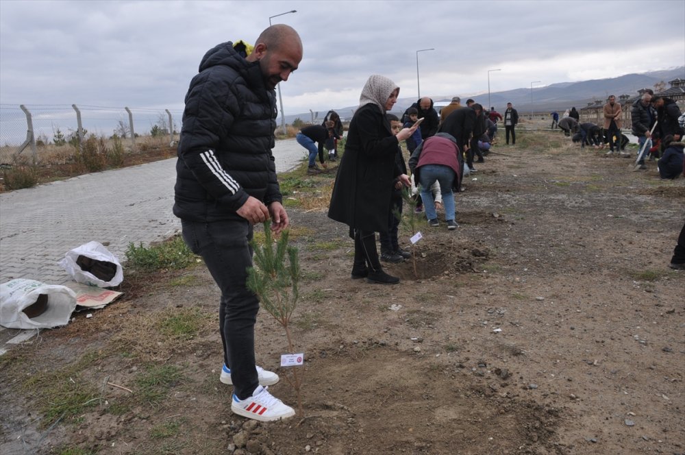 Muş'ta Öğretmenler Günü anısına hatıra ormanı oluşturuldu