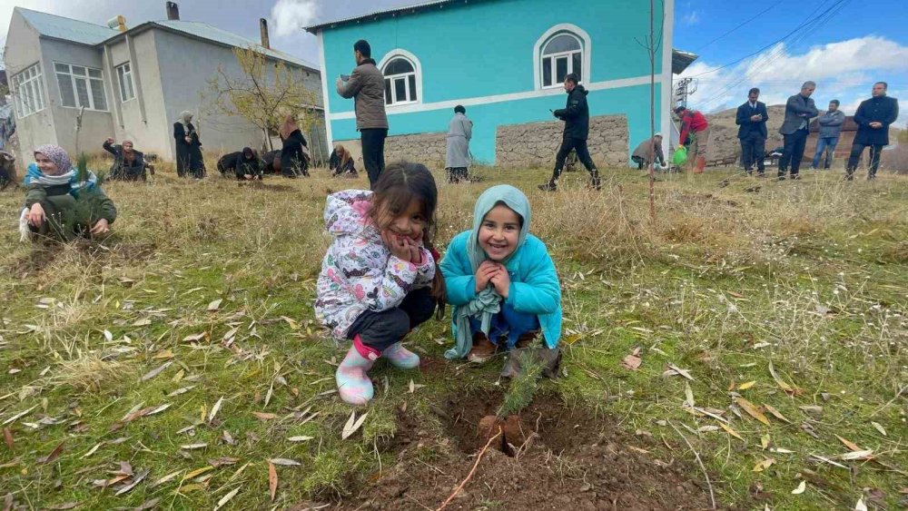 Van'da ‘Hafızlar Hatıra Ormanı’ oluşturuldu