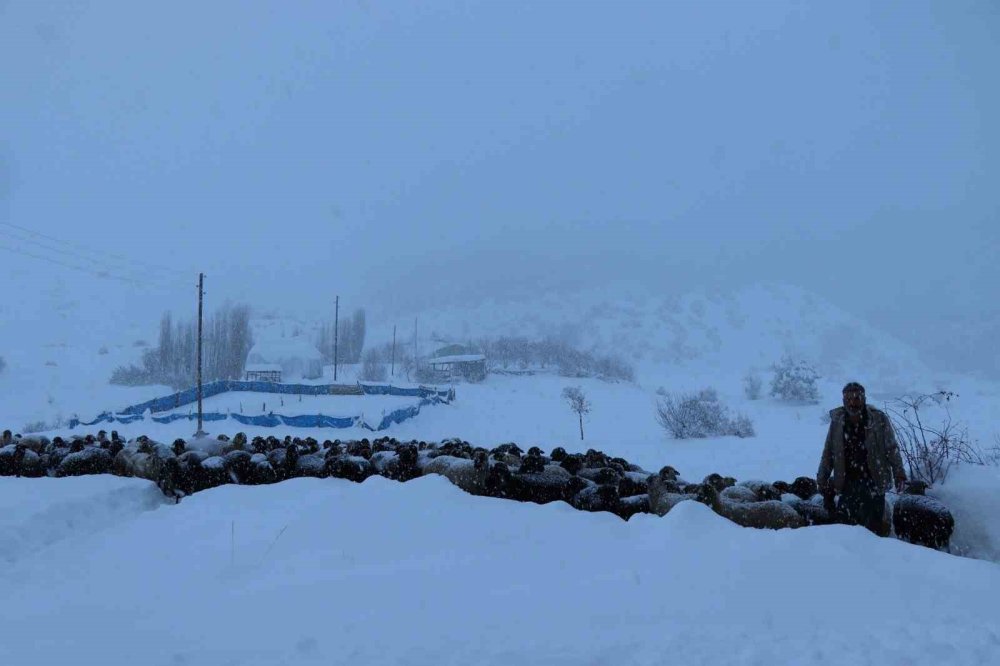 Erzurum'da kartpostallık görüntüler ortaya çıktı