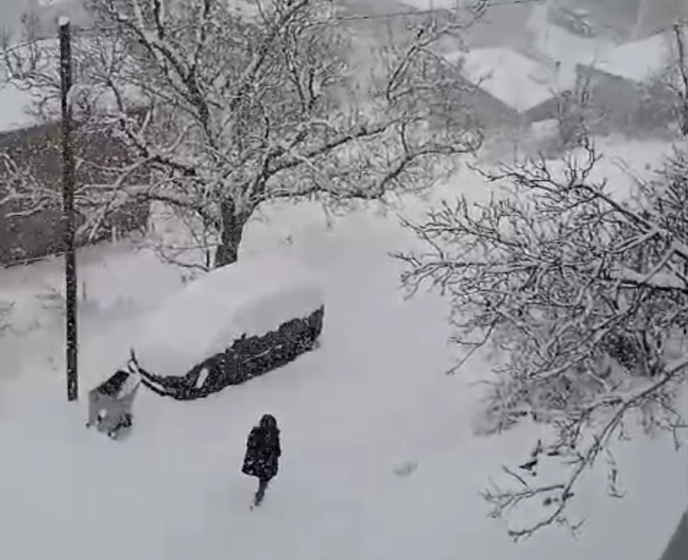 Van'ın Bahçesaray ilçesinde vatandaşların zorlu kış mesaisi başladı