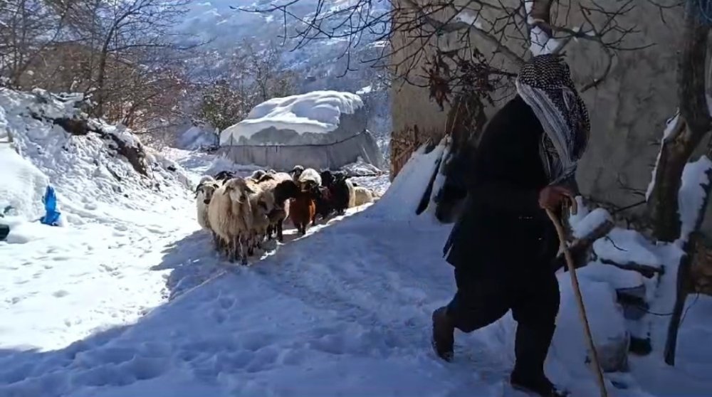 Van'ın Bahçesaray ilçesinde vatandaşların zorlu kış mesaisi başladı