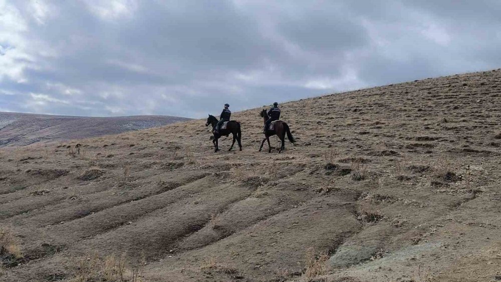 Van’da suçlulara geçit yok