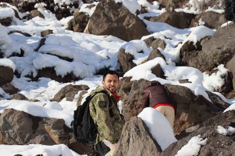 Erzurum’da keklikler için doğaya yem bırakıldı